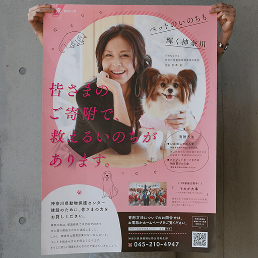 プロモーションツール制作 神奈川県